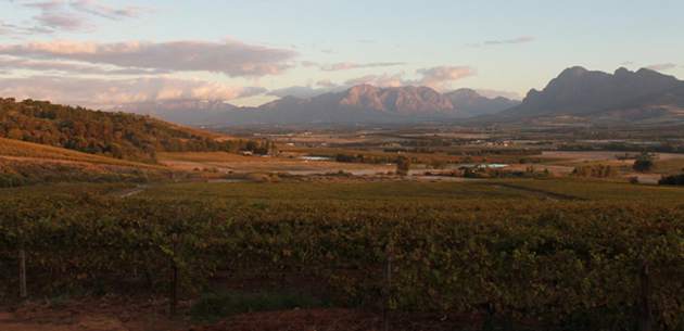 Spice Route Wine Company, Paarl